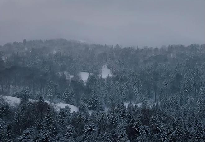 《归队》全集资源下载【HD1080P原声版/泄露-MP4原声版】高清百度云网盘插图 《归队》全集资源下载【HD1080P原声版/泄露-MP4原声版】高清百度云网盘插图