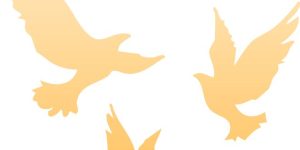 《共同的命运》网盘【1280P阿里云盘共享】百度云超清晰画质缩略图