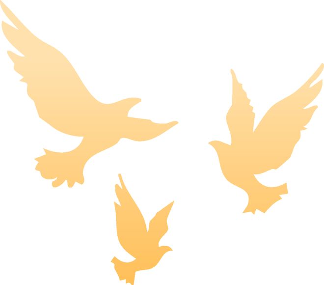 《共同的命运》网盘【1280P阿里云盘共享】百度云超清晰画质插图 《共同的命运》网盘【1280P阿里云盘共享】百度云超清晰画质插图