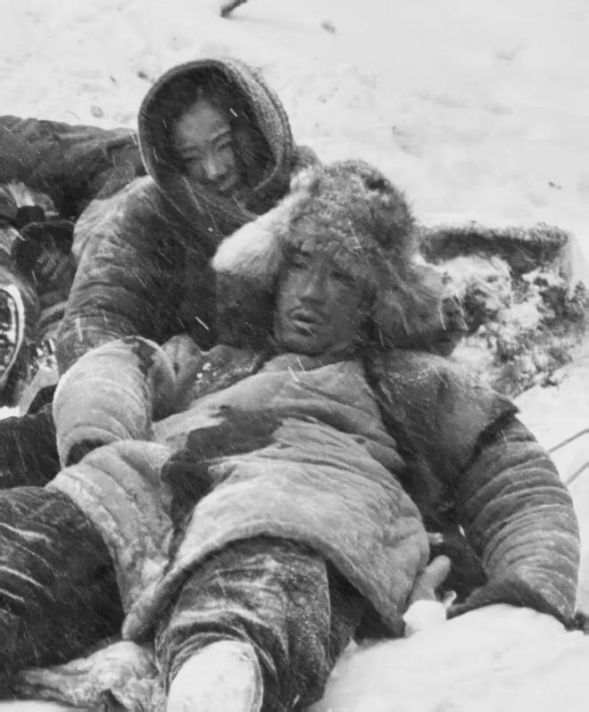 《归队》百度云网盘下载迅雷BT资源下载[MP4][HD1280p高清]插图