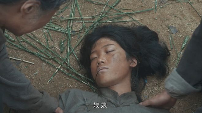 《生万物》全集百度云网盘【HD1080粤语中字】高清资源下载插图1