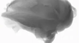 在鸡肉里挑刺、薯条里找沙子？这位大模型质检员上岗了缩略图