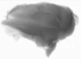 在鸡肉里挑刺、薯条里找沙子?这位大模型质检员上岗了插图 在鸡肉里挑刺、薯条里找沙子?这位大模型质检员上岗了插图