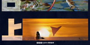 《地球脉动：万物有道》百度云网盘资源下载【高清】免费迅雷下载地址缩略图