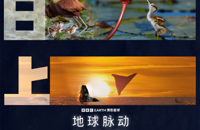 《地球脉动：万物有道》百度云网盘资源下载【高清】免费迅雷下载地址缩略图