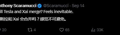 特斯拉下一步要吞下xAI？缩略图