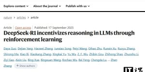 DeepSeek-R1论文上了《自然》封面，背后大佬是梁文锋缩略图