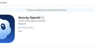 OpenAI新出的视频App Sora，能变身成别人，但得对方点头同意缩略图
