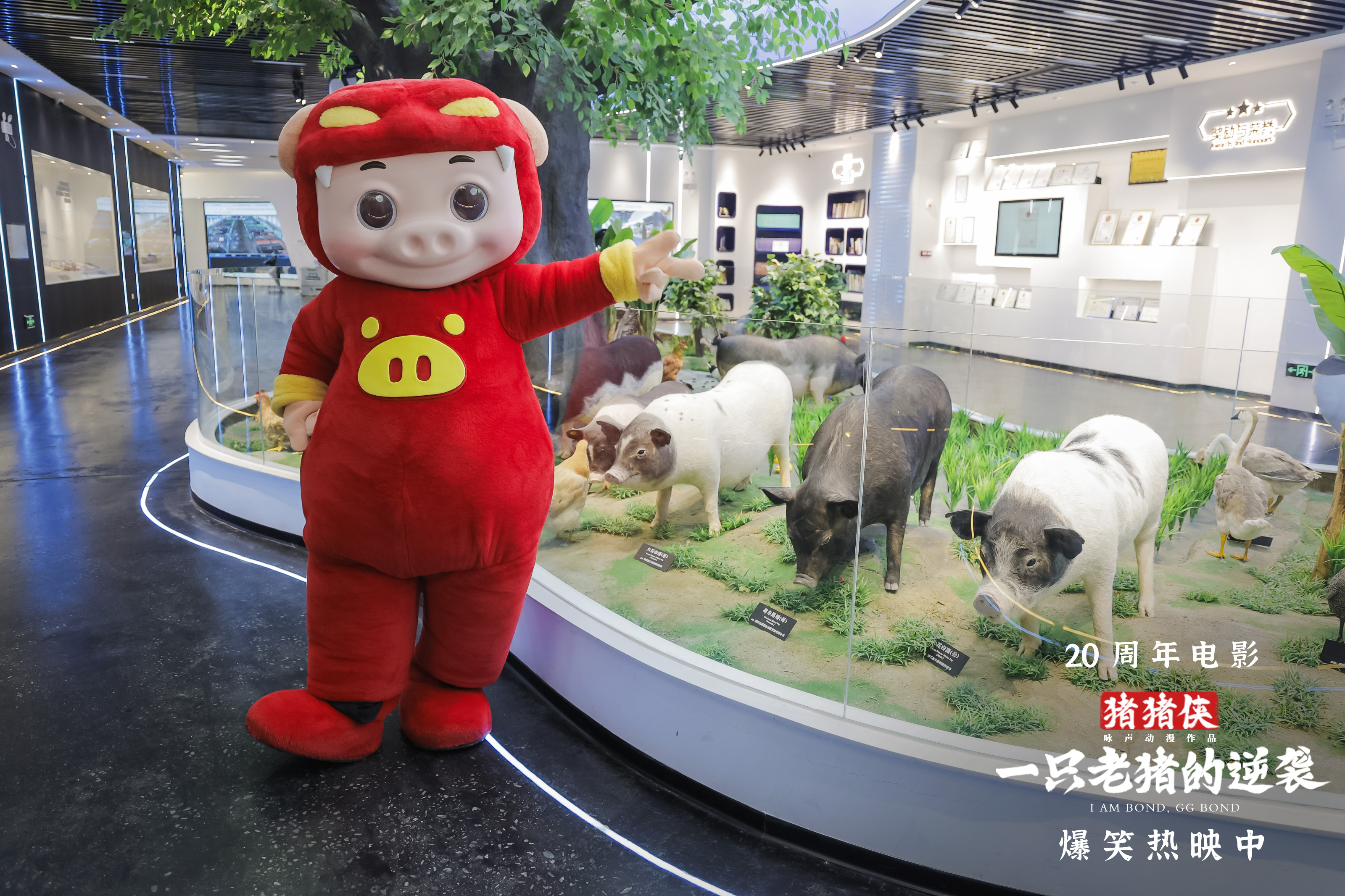 《猪猪侠·老猪逆袭记》百度云网盘(免费中字HD高清)免费资源下载在线分享插图1 《猪猪侠·老猪逆袭记》百度云网盘(免费中字HD高清)免费资源下载在线分享插图1