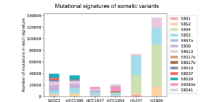 谷歌AI搞了个新模型，能更准揪出癌细胞基因突变缩略图