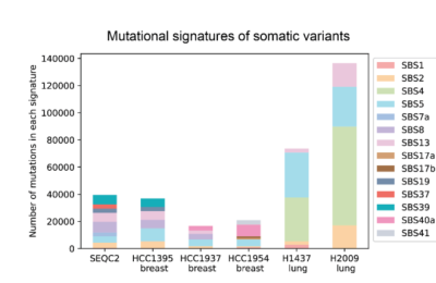 谷歌AI搞了个新模型，能更准揪出癌细胞基因突变缩略图