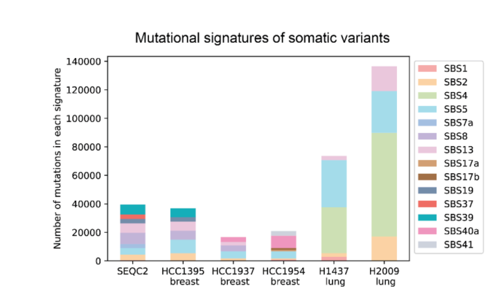谷歌AI搞了个新模型,能更准揪出癌细胞基因突变插图 谷歌AI搞了个新模型,能更准揪出癌细胞基因突变插图