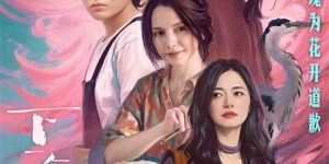 《下一个台风》迅雷magnet磁力链接BT种子资源下载】百度云网盘缩略图